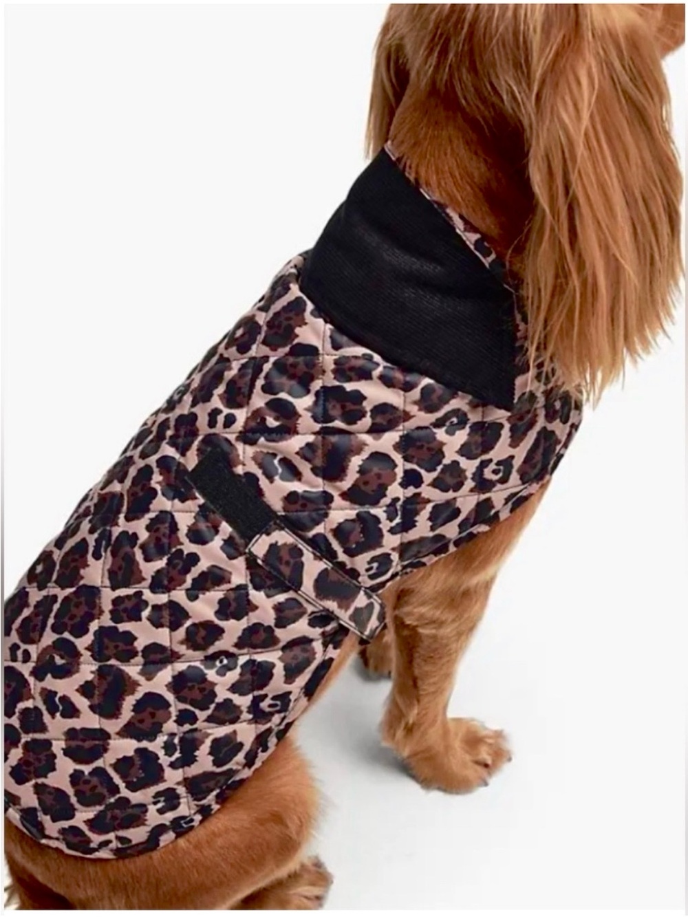 NWT Barbour  Leopard-Print All Season Quilted  Dog Coat